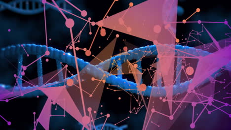 Animation-Eines-Netzwerks-Von-Verbindungen-über-DNA-Stränge