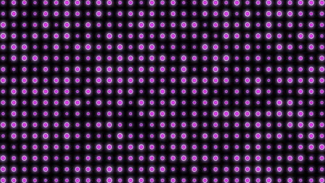 Animation-of-pulsating-purple-spots-of-light-on-black-background