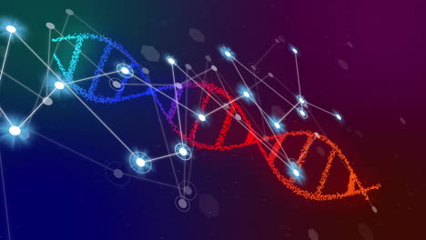 Animation-Eines-Leuchtend-Weißen-Netzwerks-Von-Verbindungen-über-Einem-DNA-Strang-Auf-Dunklem-Hintergrund