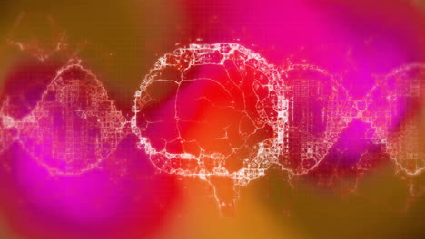 Animation-Eines-DNA-Strangs-über-Einem-Rotierenden-Digitalen-Gehirn