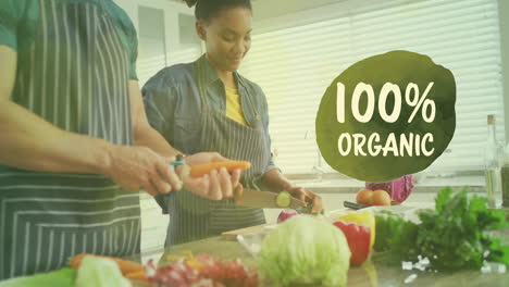 Animation-of-100-percent-organic-text-over-diverse-couple-preparing-healthy-meal-in-kitchen