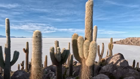 Pan-across-cactuses-on-rocky-mountain-overlooking-salt-flats-in-Bolivia