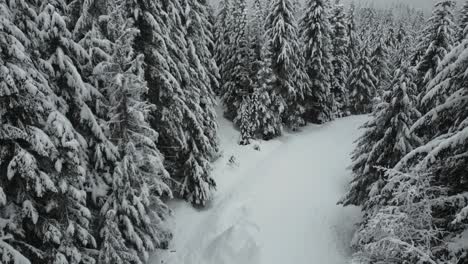 Bewegung-über-Frischem,-Reinem-Schnee,-Der-Eine-Wunderschöne,-Ruhige-Landschaft-Bedeckt,-Luft