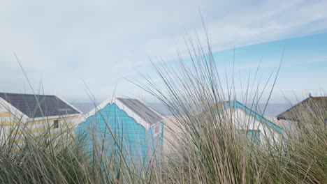 Sand-dune-grasses-and-colourful-beach-huts-at-Southwold-seaside