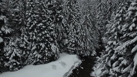 Idaho,-USA,-a-wintry-landscape-showcasing-trees-blanketed-in-snow-with-a-small-river-meandering-below