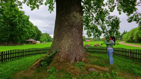 Caucasian-woman-takes-photo-and-hugs-a-large-tree-surrounded-by-a-fence