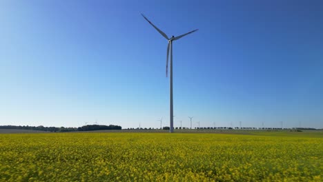 Approach-to-a-wind-turbine-standing-in-a-rapeseed-field,-renewable-energy-source