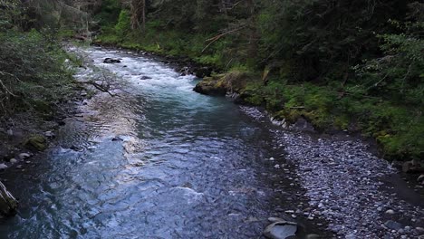 Scenic-stationary-shot-over-flowing-river-in-Evergreen-forest-in-Carbonado,-Washington-State