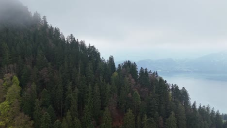 Luftaufnahme-Des-Berühmten-Vierwaldstättersees-In-Der-Schweiz