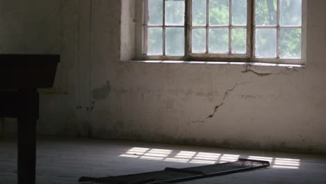 Wolf-runs-under-the-window-in-the-old,-abandoned-building