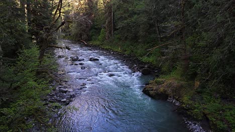Nature-scenic-stationary-shot-above-flowing-river-through-lush-Evergreen-forest-in-Carbonado,-Washington-State