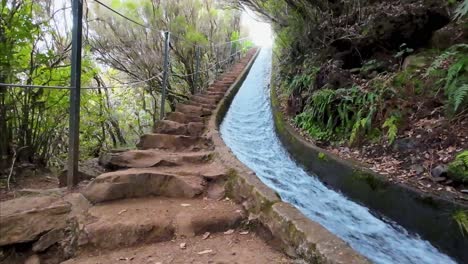 Camino-Del-Canal-En-El-Bosque-Con-Escaleras-Que-Conducen-Al-Lado-Del-Pequeño-Y-Fuerte-Arroyo-Actual