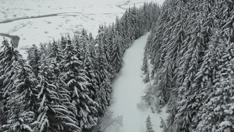 Strenger-Winter-In-Idaho,-USA