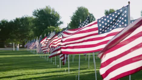 Amerikanische-Flaggen-Bei-Sonnenuntergang-In-Zeitlupe-In-Einer-Parkkulisse