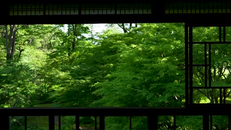 Caminando-Lentamente-Hacia-La-Ventana-Con-Un-Hermoso-Jardín-Verde