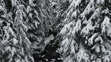 Flying-Through-The-Snow-covered-Trees-By-The-River-During-Snowfall-In-Idaho,-USA