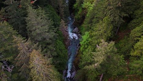 Scenic-Aerial-stationary-view-of-rapid-river-flowing-through-Evergreen-forest-in-Carbonado,-Washington-State
