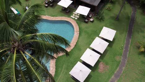 Topdown-über-Swimmingpool-Durch-Palmen-Und-Gras,-Tropisches-Klima
