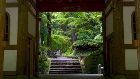 Beautiful-cinematic-push-in-toward-temple-gate-inside-lush-green-forest