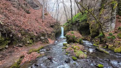 Arroyo-Tranquilo-En-Un-Bosque-Otoñal-Con-Hojas-Caídas-Y-Una-Pequeña-Cascada-Al-Final-Del-Río-En-Canadá