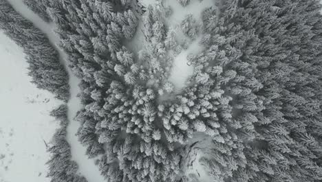 Birdseye-view,-beautiful-alpine-winter-like-scenery,-Idaho-United-States