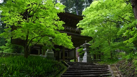 Slow-motion-walk-up-toward-typical-shrine-gate-in-Japan-deep-inside-lush-forest