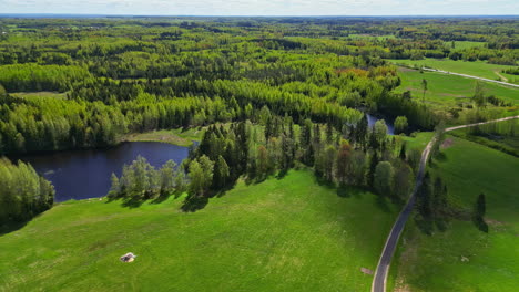 Green-field-and-pine-spruce-tree-forest-by-natural-freshwater-lake,-aerial-drone