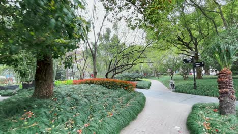 China,-Shanghai:-The-video-captures-a-walk-through-one-of-Shanghai's-parks,-where-tranquility-contrasts-with-the-city's-hustle-and-bustle