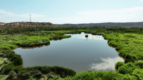 Luftaufnahme-Tief-über-Der-Oase-Mirador-Santiago-Im-Sonnigen-Baja-California,-Mexiko