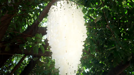 Decoración-De-Conchas-De-Capiz-Colgando-De-Un-árbol-En-El-Mercado-Dominical-De-La-Brisa-En-Canggu,-Indonesia