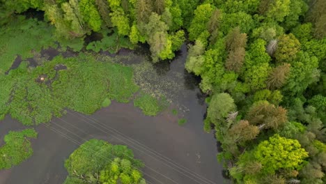 Drohnenansicht-Der-Flussaue,-Des-Angrenzenden-Waldes-Und-Der-Hochspannungsleitungen