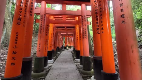 Santuario-Sintoísta-De-Fushimi-Inari-En-La-Ladera-De-La-Montaña-Con-Puertas-Rojas-Tradicionales-En-Kioto,-Japón