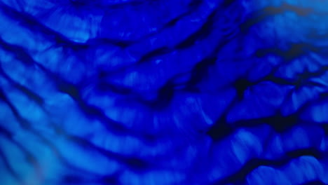 Leuchtend-Blaue-Tinte-Wirbelt-Im-Wasser-Und-Erzeugt-Faszinierende-Abstrakte-Muster-Unter-Lebendiger-Beleuchtung