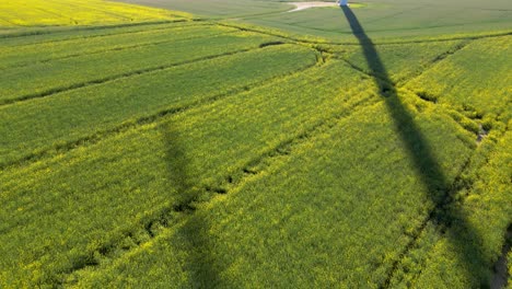 Wind-turbine-standing-in-a-rapeseed-field-filmed-under-the-sun,-renewable-energy-sources