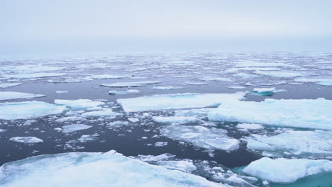 Segeln-Durch-Abgebrochene-Eisstücke,-Arktisches-Meer-An-Einem-Kalten,-Nebligen-Tag