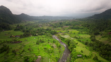 Landscape-Of-River-In-Green-Fields-In-Bali,-Indonesia---Aerial-Drone-Shot
