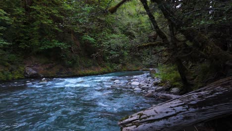 Majestic-scenery-shot-of-flowing-river-in-Evergreen-forest-in-Carbonado,-Washington-State