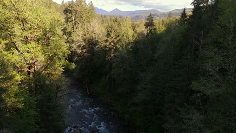 Scenic-ascending-aerial-shot-above-flowing-river-revealing-Evergreen-forest-treetops-and-landscape-in-Carbonado,-Washington-State