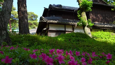 Wunderschönes-Traditionelles-Japanisches-Gebäude-In-Grüner-Naturlandschaft