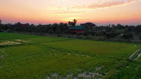 Vuelo-Aéreo-Sobre-Arrozales-Hacia-La-Puesta-De-Sol-En-La-Tailandia-Rural