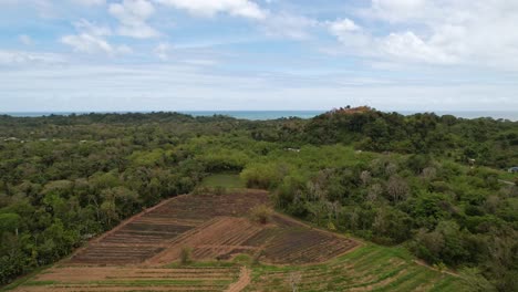 Drone-Volando-Sobre-La-Vegetación-Y-Hacia-El-Océano