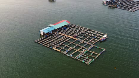 Vista-Aérea-De-Aves,-Drones-Sobrevolando-El-Mar-Capturando-Una-Piscifactoría-Tradicional-En-Alta-Mar-En-Agua-Salobre,-Con-Jaulas-Y-Redes-Flotantes,-Y-Senderos-De-Madera,-Malasia,-Sudeste-Asiático