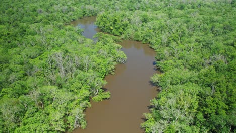 Aerial-following-a-flooded-river-through-dense-forest