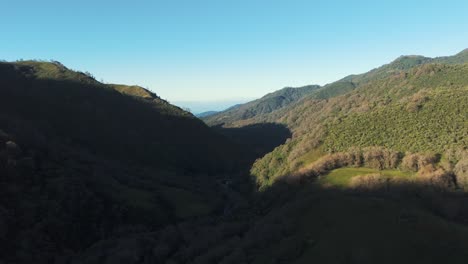 Impresionante-Bosque-De-Yungas-En-Este-Metraje-De-Un-Dron,-Mientras-El-Dron-Sube-Y-Captura-La-Cordillera