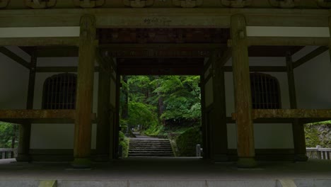 Mysterious-shrine-inside-deep-lush-forest---cinematic-push-in