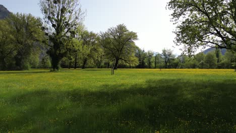 Mágico-Prado-Verde-En-La-Montaña-Weesen,-St.-Gallen,-Suiza