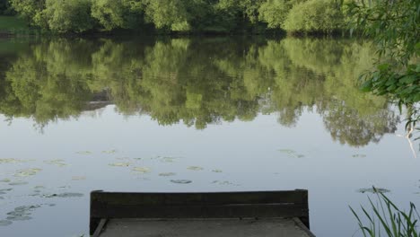 Lago-Tranquilo-Y-Tranquilo-Por-La-Mañana-Con-árboles-Reflejándose-En-El-Agua