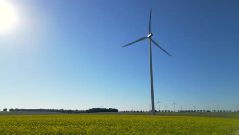 Drohnenansicht-Einer-Windturbine-In-Einem-Rapsfeld,-Blauer-Himmel-Und-Volle-Sonne,-Erneuerbare-Energiequellen