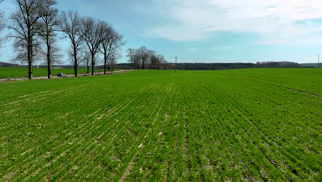 Un-Extenso-Campo-Verde-Con-Una-Hilera-De-árboles-Desnudos-A-La-Izquierda