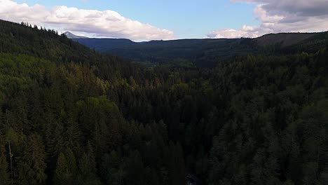 Aerial-nature-scenic-shot-flying-over-Evergreen-forest-and-landscape-in-Carbonado,-Washington-State